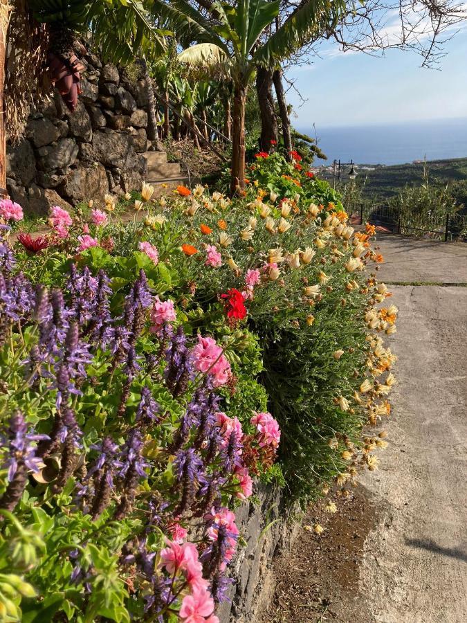 Fazenda Do Sousinha Hotel Funchal  Esterno foto